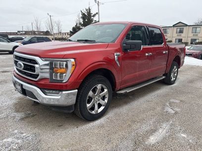 Used 2023 Ford F150 XLT w/ Equipment Group 302A High