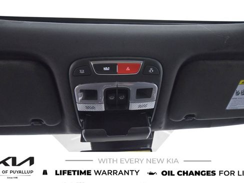 New 2025 Kia Telluride SX Prestige X-Line image 25