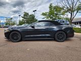Used 2017 Ford Mustang Premium image 4