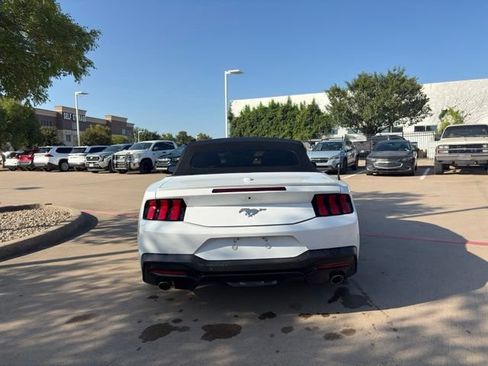 Used 2024 Ford Mustang Premium RWD image 6