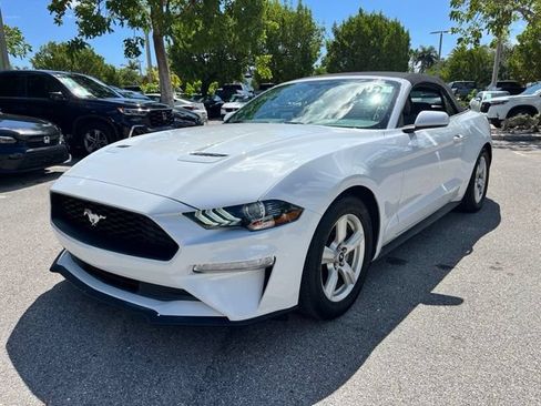 Used 2019 Ford Mustang Convertible RWD image 3