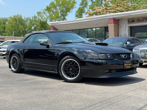 Used 2001 Ford Mustang GT RWD image 2