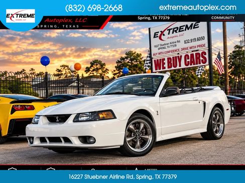 Used 1999 Ford Mustang Cobra RWD image 1