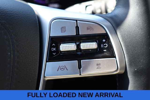 Used 2025 Kia Telluride SX Prestige X-Line AWD/4WD image 30