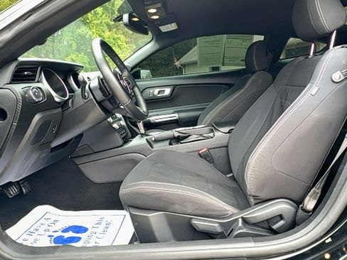 Used 2019 Ford Mustang Coupe image 12