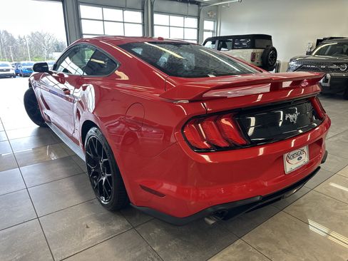 Used 2019 Ford Mustang Coupe w/ Ecoboost Performance Package image 12