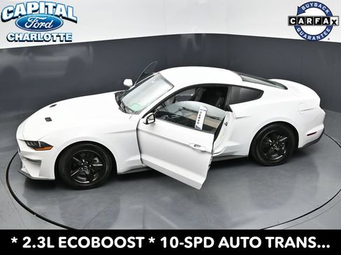 Used 2019 Ford Mustang Coupe RWD image 32