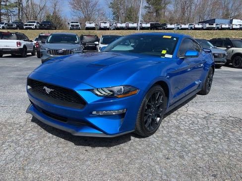 Used 2019 Ford Mustang Premium w/ Ecoboost Performance Package image 4