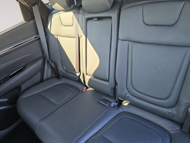 Used 2024 Hyundai Tucson Limited AWD/4WD image 13