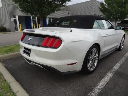 Used 2017 Ford Mustang Premium w/ Equipment Group 201A RWD image 4
