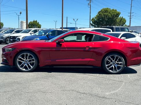 Used 2016 Ford Mustang Premium w/ Equipment Group 201A RWD image 7