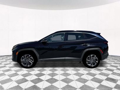 New 2026 Hyundai Tucson Limited