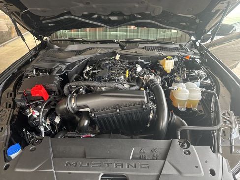 Certified 2025 Ford Mustang Premium RWD image 22