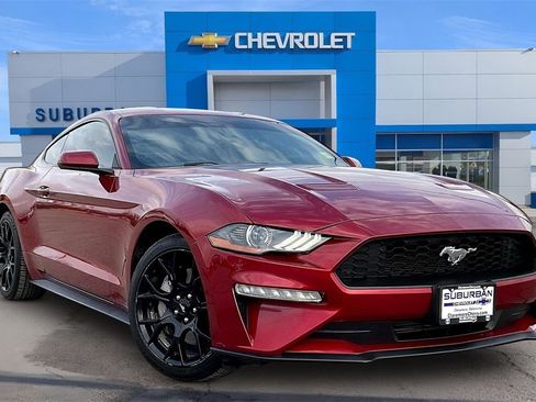 Used 2019 Ford Mustang Coupe w/ Ecoboost Performance Package image 11