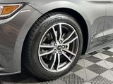 Used 2017 Ford Mustang Premium image 4