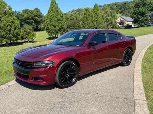 Used 2018 Dodge Charger SXT w/ Blacktop Package RWD image 2