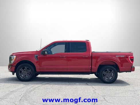 Certified 2023 Ford F150 XLT w/ Equipment Group 302A High AWD/4WD image 23
