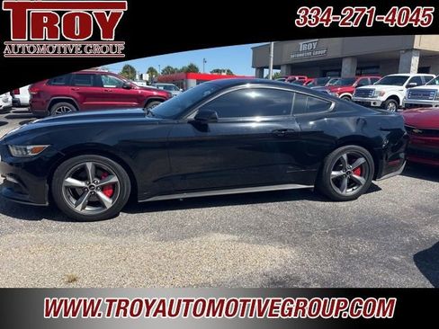 Used 2016 Ford Mustang Premium w/ Equipment Group 201A image 9