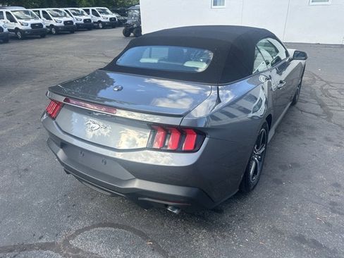 Used 2024 Ford Mustang Premium image 5