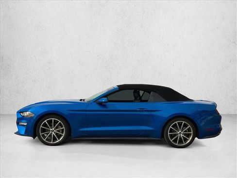 Used 2019 Ford Mustang Premium w/ Equipment Group 201A image 8