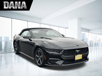 Certified 2025 Ford Mustang Premium video 1