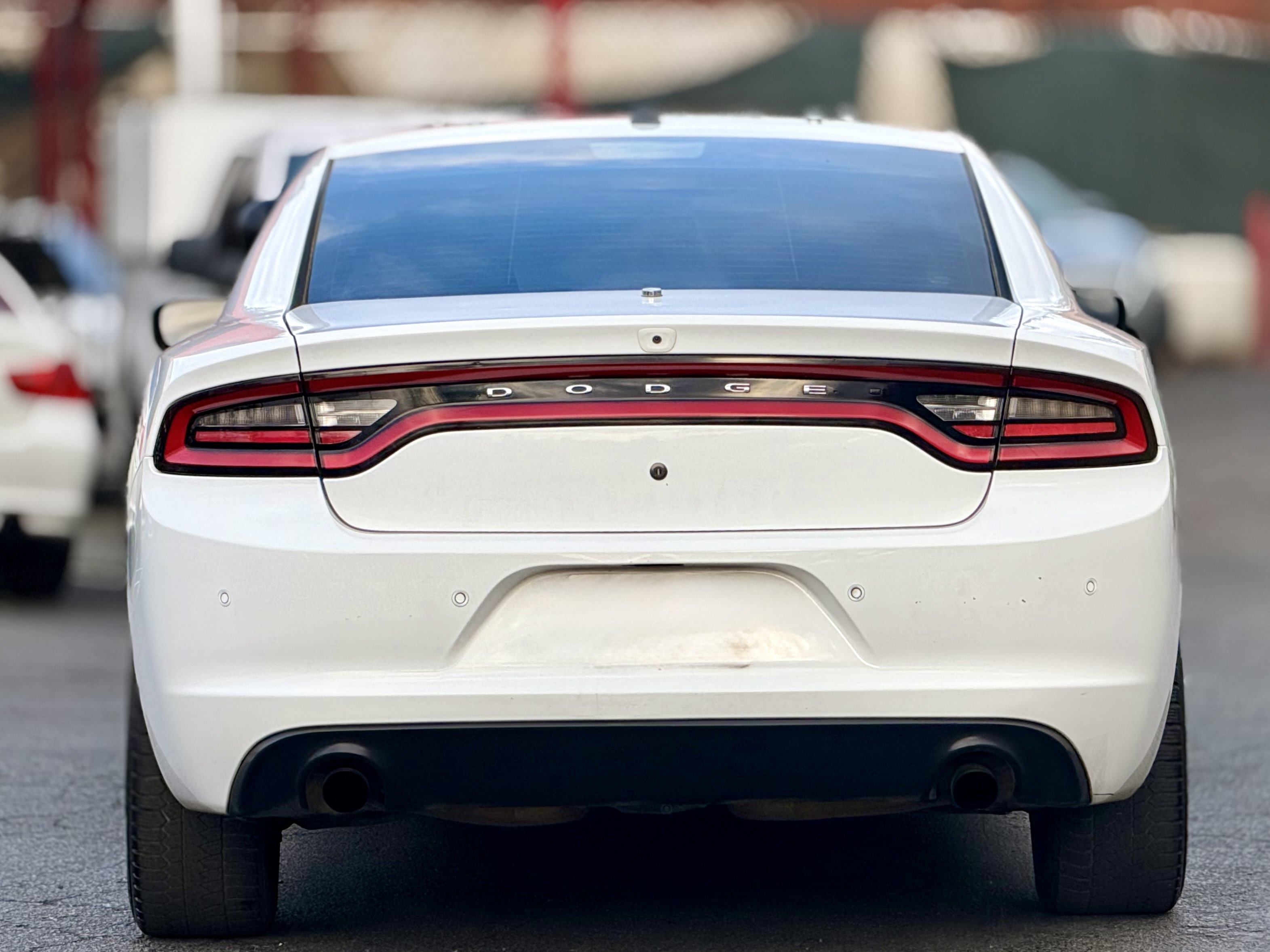 Used 2019 Dodge Charger Police w/ Patrol Package Base Prep RWD image 10