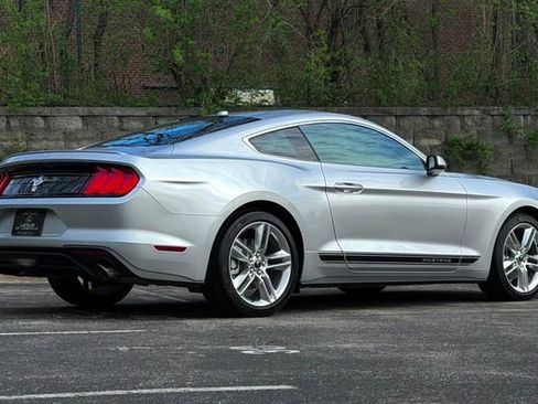 Used 2019 Ford Mustang Premium w/ Equipment Group 201A RWD image 3
