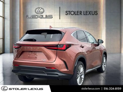 Used 2025 Lexus NX 350 AWD w/ Cold Area Package image 5
