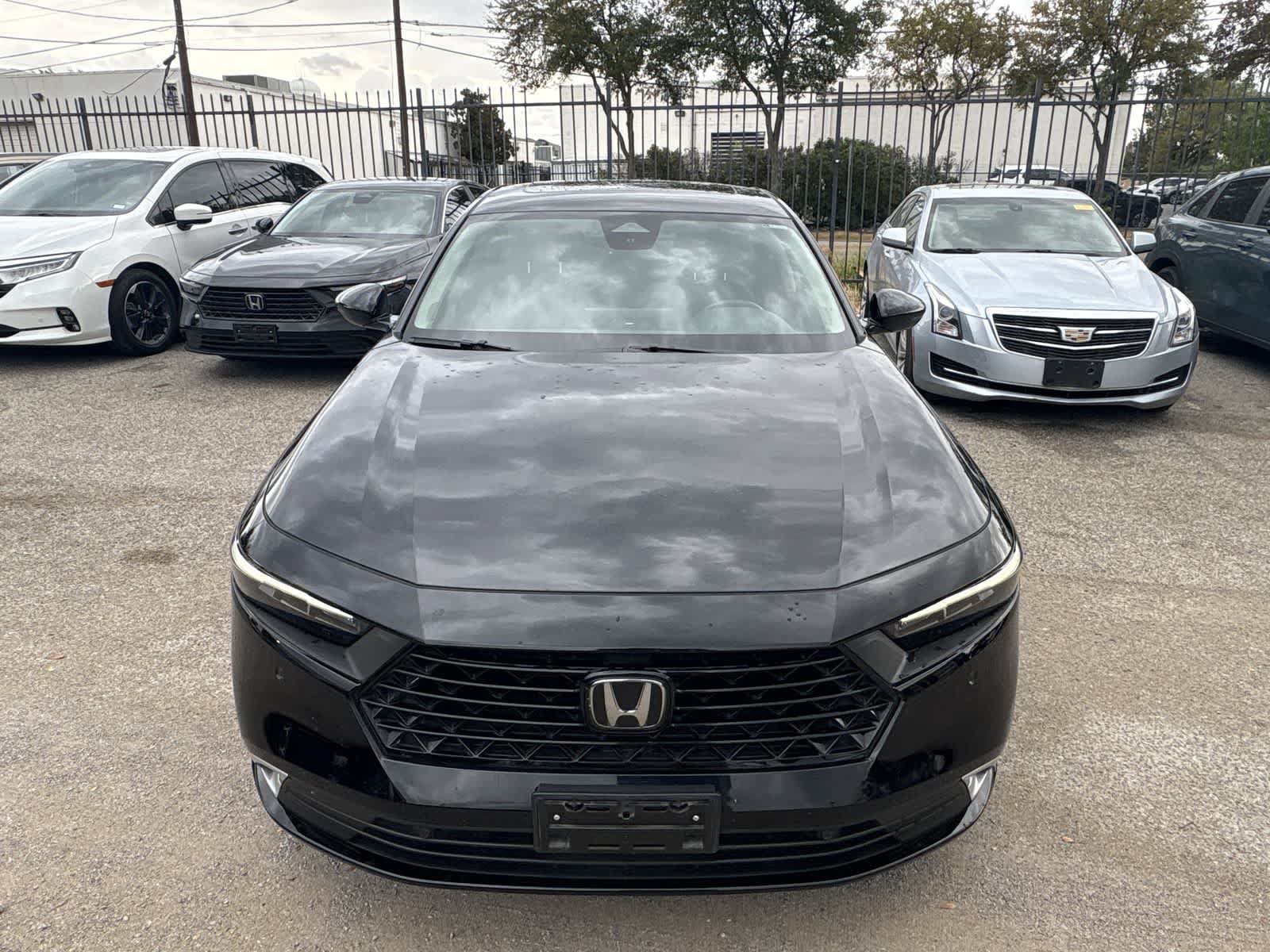 Used 2024 Honda Accord Touring image 7