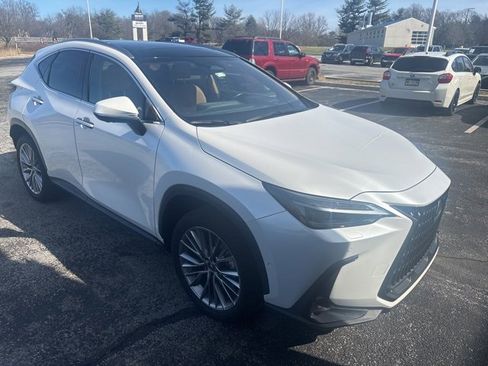 Used 2024 Lexus NX 350h 350h Luxury image 1