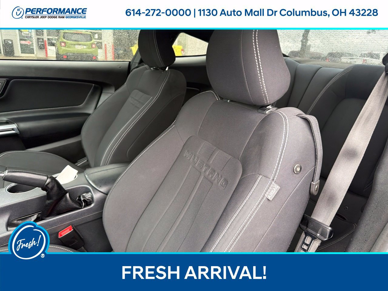 Used 2021 Ford Mustang Coupe RWD image 12