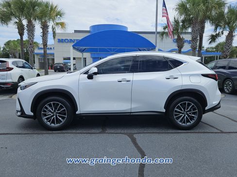 Used 2025 Lexus NX 350h AWD w/ Cold Area Package image 2
