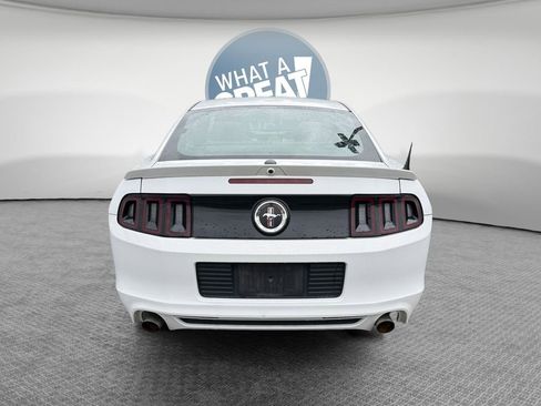Used 2014 Ford Mustang Premium w/ Equipment Group 201A RWD image 5
