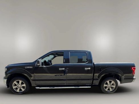 Used 2019 Ford F150 XLT w/ Equipment Group 302A Luxury RWD image 7