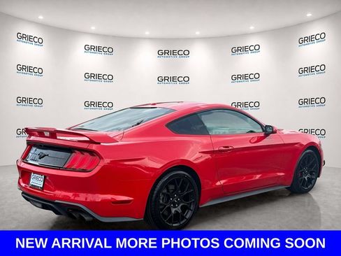 Used 2019 Ford Mustang Coupe w/ Ecoboost Performance Package RWD image 5