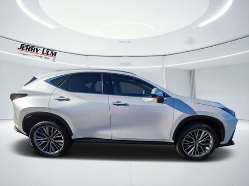 Used 2025 Lexus NX 350 AWD w/ Cold Area Package image 2