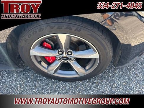 Used 2016 Ford Mustang Premium w/ Equipment Group 201A image 16