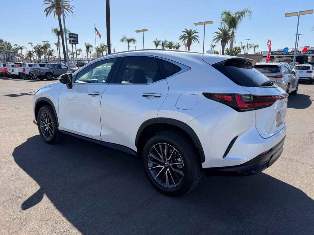 Used 2025 Lexus NX 250 AWD w/ Cold Area Package image 4