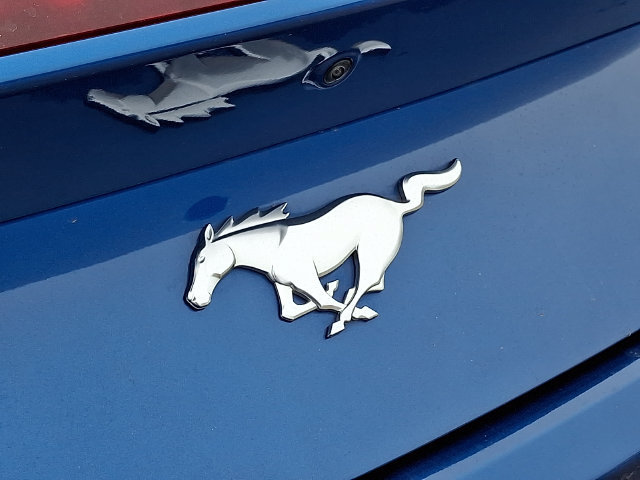 Used 2024 Ford Mustang Premium RWD image 31