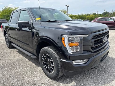 Used 2023 Ford F150 XLT w/ Equipment Group 302A High AWD/4WD image 10