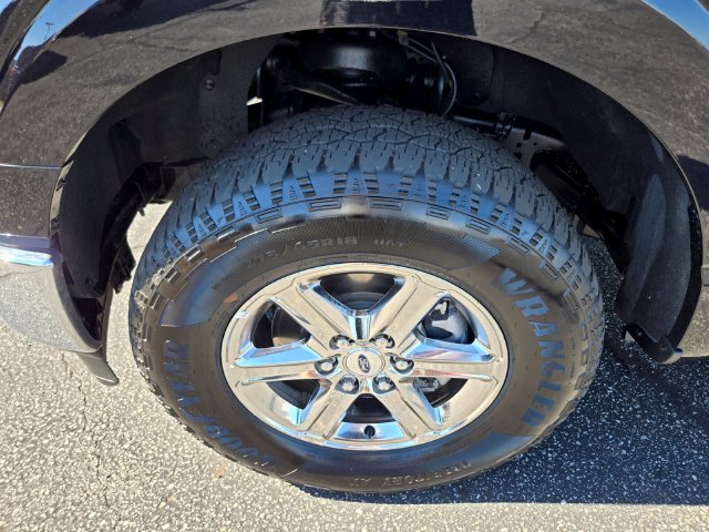 Used 2025 Ford F150 XLT w/ Equipment Group 301A Standard AWD/4WD image 23