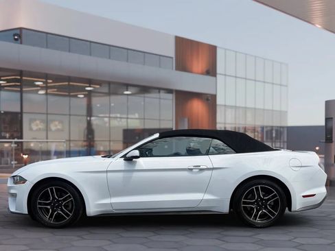 Used 2020 Ford Mustang Premium RWD image 5