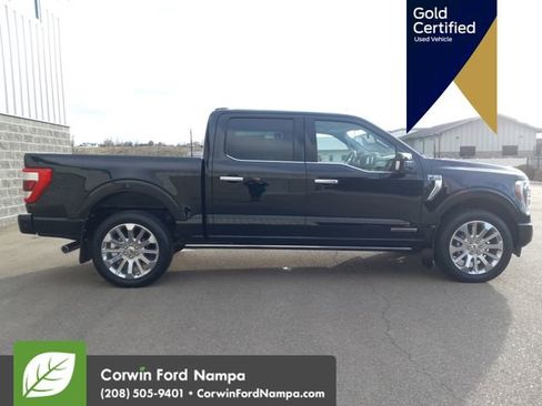 Used 2023 Ford F150 Limited image 2