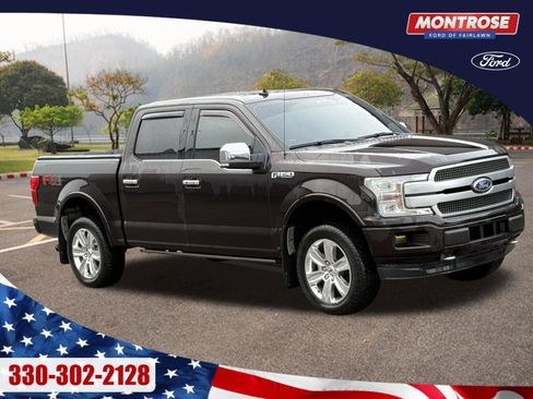 Used 2019 Ford F150 Platinum w/ Equipment Group 701A Luxury image 1