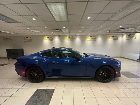 Used 2024 Ford Mustang GT Premium w/ Mustang Nite Pony Package RWD image 3