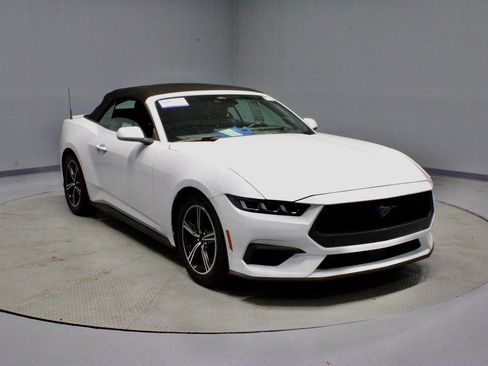 Certified 2024 Ford Mustang Premium image 1