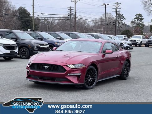 Used 2019 Ford Mustang Premium w/ Equipment Group 201A image 1