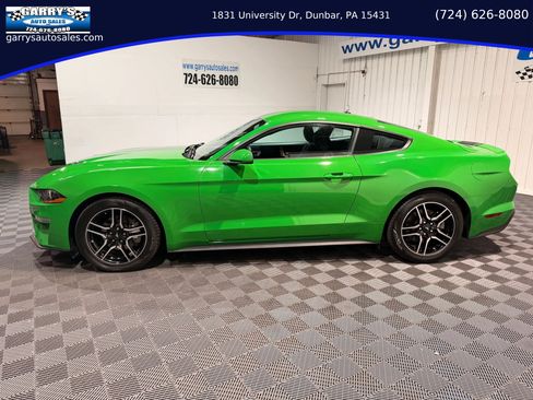 Used 2019 Ford Mustang Coupe w/ Equipment Group 101A image 8