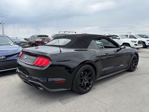 Used 2019 Ford Mustang Premium w/ Ecoboost Performance Package RWD image 2