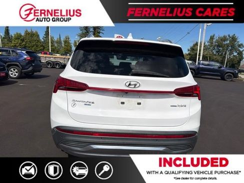Used 2023 Hyundai Santa Fe Blue AWD/4WD image 3